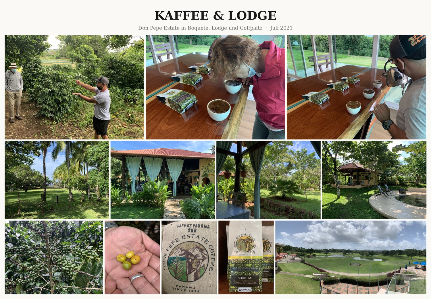 Fotocollage Kaffee & Lodge: Don Pepe Estate in Boquete